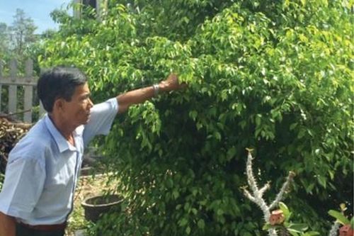 Đời sống Luôn nghĩ cho dân