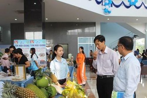 Đánh thức tiềm năng để phát triển du lịch nông nghiệp tại Hậu Giang