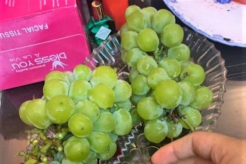 Bỏ tiền triệu mua nho sữa Trung Quốc qua mạng ăn thử và cái kết
