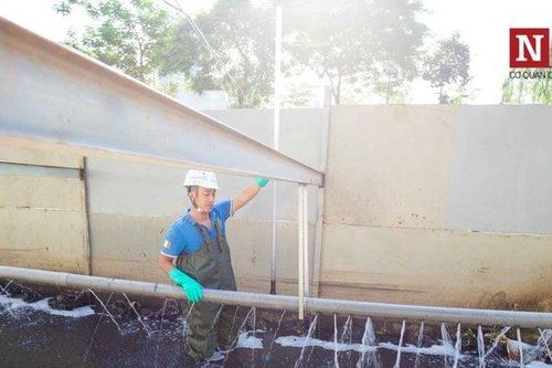 Cận cảnh đáy sông Tô Lịch thay đổi từng ngày sau khi sử dụng công nghệ Nhật Bản