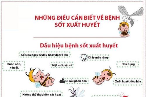 Bệnh nhân nhập viện do sốt xuất huyết gia tăng