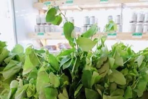 Hạn chế sử dụng túi ni-lon bắt đầu từ ý thức của người dân