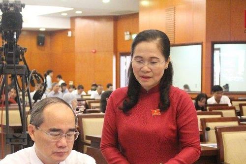 HĐND TP.HCM khai mạc 'kỳ họp không giấy' với ứng dụng hiện đại