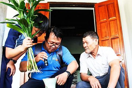 Bệnh sốt xuất huyết diễn biến bất thường