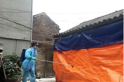 Phòng, chống bệnh dịch tả lợn châu Phi: An toàn sinh học là 'vũ khí' tối ưu