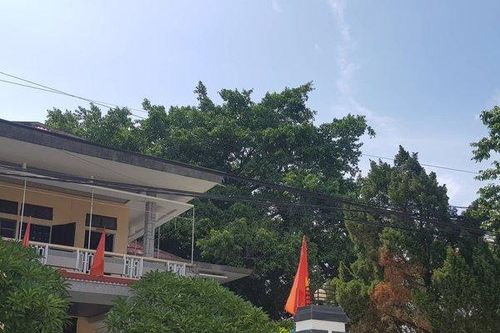 Bi hài ở Thừa Thiên - Huế: Phòng giáo dục thu tiền các trường học đón 'hụt' đoàn kiểm tra của Bộ