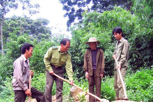 Gỡ những nút thắt, tạo đột phá để phát triểnBài 2: 'Rừng Vàng'