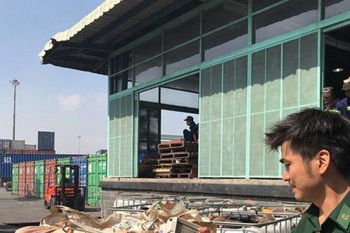 300 container hàng hóa vô chủ tại cảng Cát Lái: Chủ yếu là rác phế liệu, hàng cấm nhập khẩu
