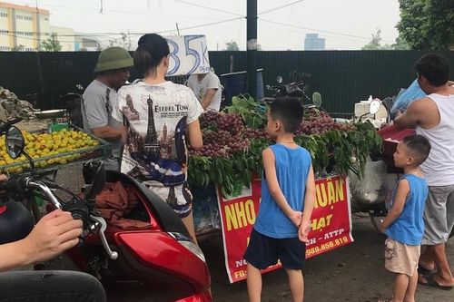 Mạo danh nho Ninh Thuận để lừa khách hàng
