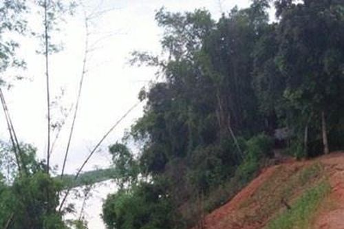 Phú Thọ: Cần khắc phục tình trạng sạt lở tại bờ sông Thao