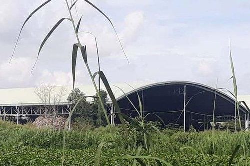 Công an tiết lộ lý do không khởi tố vụ án phát hiện hơn 300 xác thai nhi ở nhà máy rác