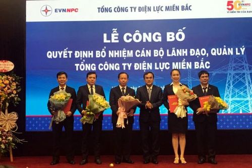 Công bố quyết định bổ nhiệm lãnh đạo, quản lý EVNNPC