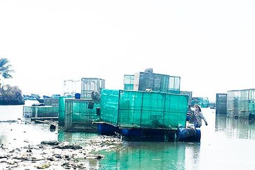 Di dời các lồng bè lấn chiếm công trình hàng hải trong vịnh Cam Ranh