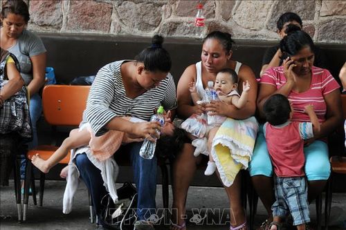 Các bệnh viện tại Honduras quá tải do dịch sốt xuất huyết