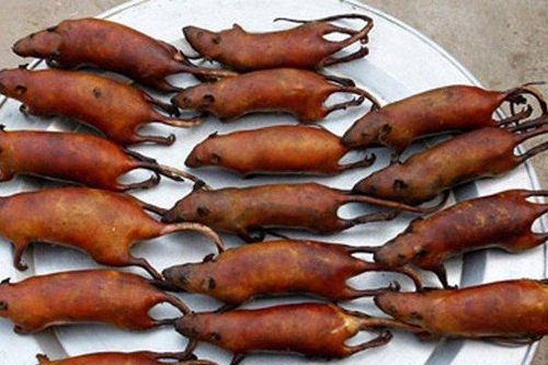 Xem dân nhậu miền Tây biến tấu, thịt chuột kinh dị cũng thành đặc sản vạn người mê