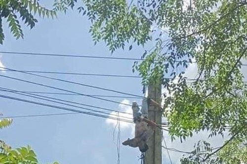 Tài xế xe tải bị điện giật treo lơ lửng trên cột điện