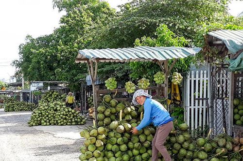 Quảng bá thương hiệu nông sản