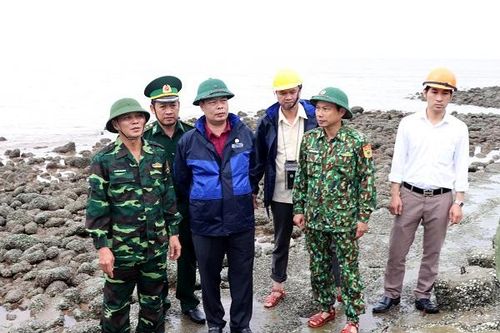 Hải Phòng chủ động ứng phó với bão số 3