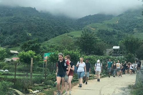 Du khách quốc tế đến Sa Pa thích tour đi bộ ngắm cảnh bản làng