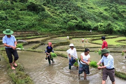 Nhân rộng mô hình 'bản người Mông tự quản' vùng cao Yên Bái