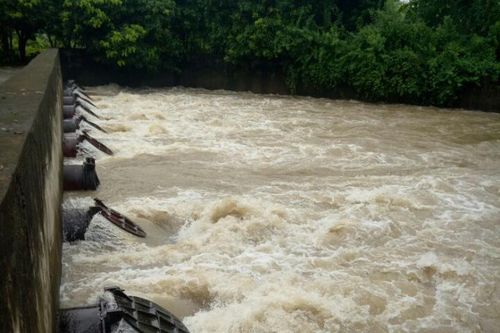 Hà Nội vận hành 187 trạm bơm cứu 835ha lúa, hoa màu