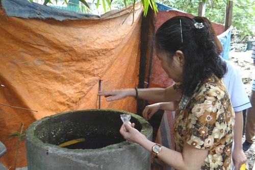 Hà Nội: Một tuần ghi nhận 248 ca mắc sốt xuất huyết