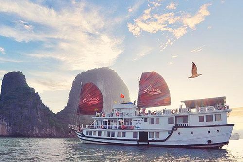 Đi du thuyền cần biết