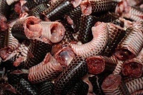 Đặc sản chỉ dân sành ăn Đồng Tháp mới có, nhiều tiền chưa chắc đã được ăn