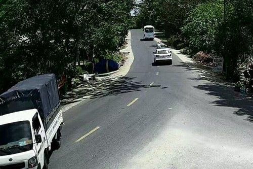 Lái xe tải ăn trộm 100 bó củi, nam thanh niên bị 'mắt thần' tóm gọn