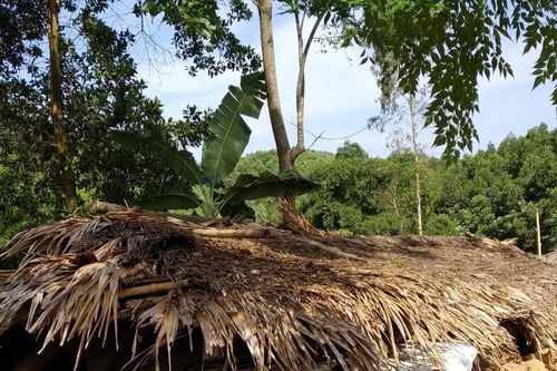 Yên Bái: 41 ngôi nhà ảnh hưởng do mưa dông