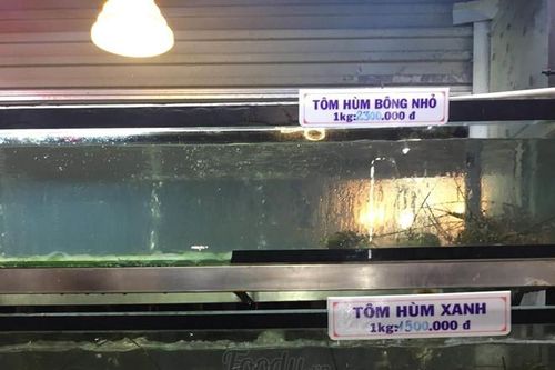 Nhà hàng ở Đà Nẵng nói gì về hóa đơn hải sản hơn 85 triệu đồng?