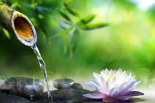 Thấu hiểu cảm xúc – Bước đi đầu tiên để trở thành một lãnh đạo tỉnh thức