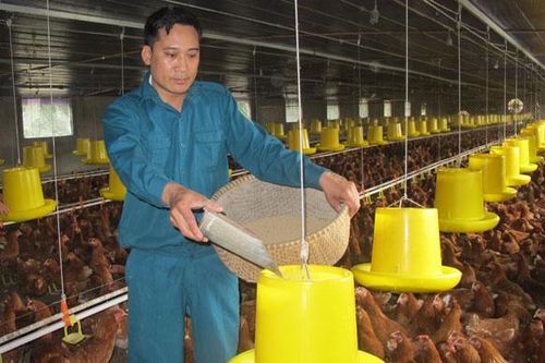 Đảng viên là quân nhân xuất ngũ: Nhân tố quan trọng