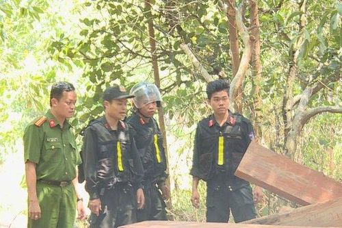 Vụ khai thác gỗ quy mô lớn ở Đắk Lắk: Phát hiện thêm nhiều điểm tập kết gỗ 'khủng'