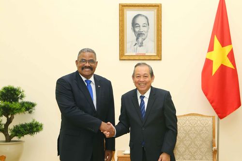 Phó Thủ tướng Trương Hòa Bình tiếp Chánh án Tòa án nhân dân Tối cao Cuba