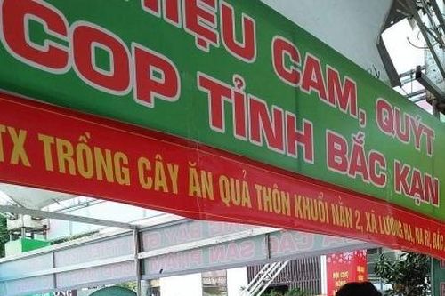 Bắc Kạn: Đưa đặc sản vùng, miền vươn xa