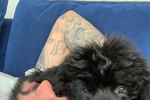 Isco nuôi 'Messi' và các sao bóng đá mê cún cưng