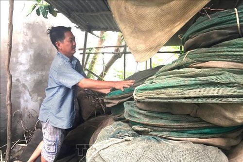 Chuyển hướng trong mùa lũ - Bài 2: Linh động sinh kế