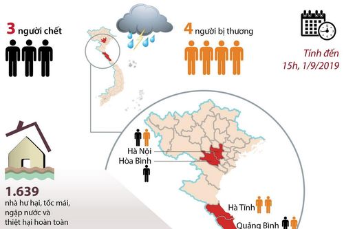 Thiệt hại nặng nề về người và tài sản do bão số 4