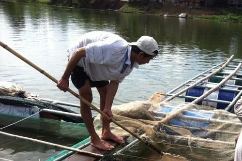 Kinh tế Nông nghiệp - Nông thôn Quảng Điền: Gần 5 tấn cá lồng bị chết