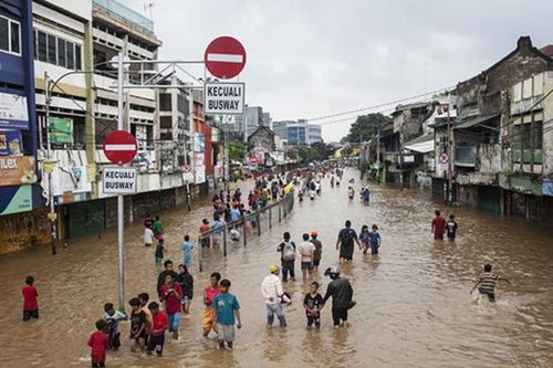 Các thành phố lớn ứng phó với cảnh 'sắp chìm' thế nào?