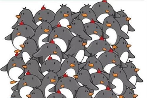 'Nhức mắt' vẫn không thể tìm ra đáp án đúng