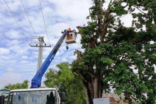 Kinh tế Xây dựng - Giao thông Công ty Điện lực tỉnh khắc phục hậu quả bão số 4