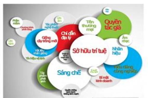 4 giải pháp thực thi quyền sở hữu trí tuệ khi EVFTA có hiệu lực