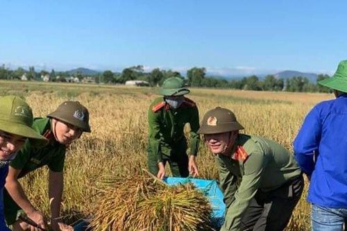 Hà Tĩnh: Cán bộ, chiến sỹ lực lượng Công an ra đồng gặt lúa giúp người dân