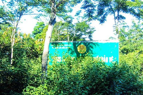 Bảng tuyên truyền bị che khuất