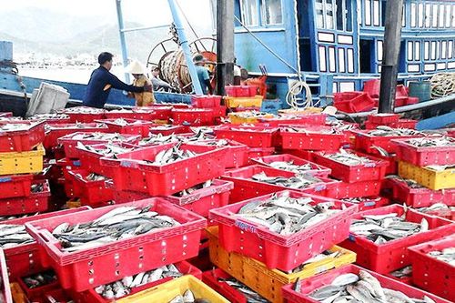 Phấn đấu có thêm 7 xã nông thôn mới