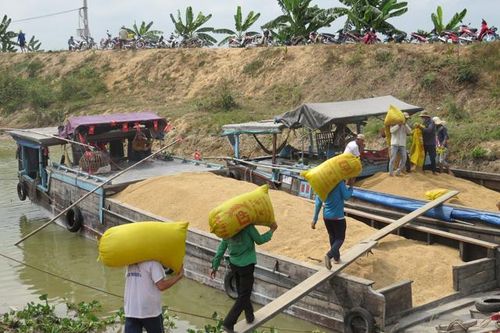 Tam Nông: nhiều mô hình mới trong tái cơ cấu ngành nông nghiệp