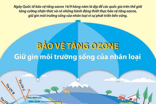 Bảo vệ tầng ozone, giữ gìn môi trường sống