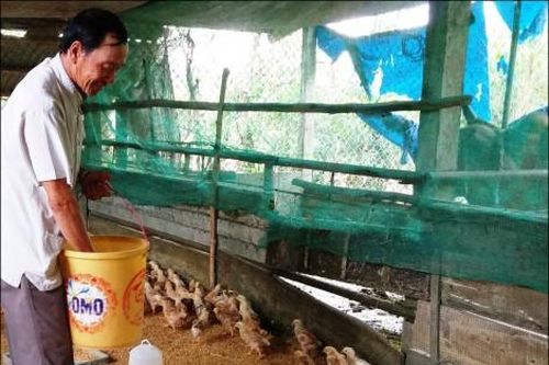 Kinh tế Nông nghiệp - Nông thôn Sản xuất nông nghiệp theo chuỗi giá trị